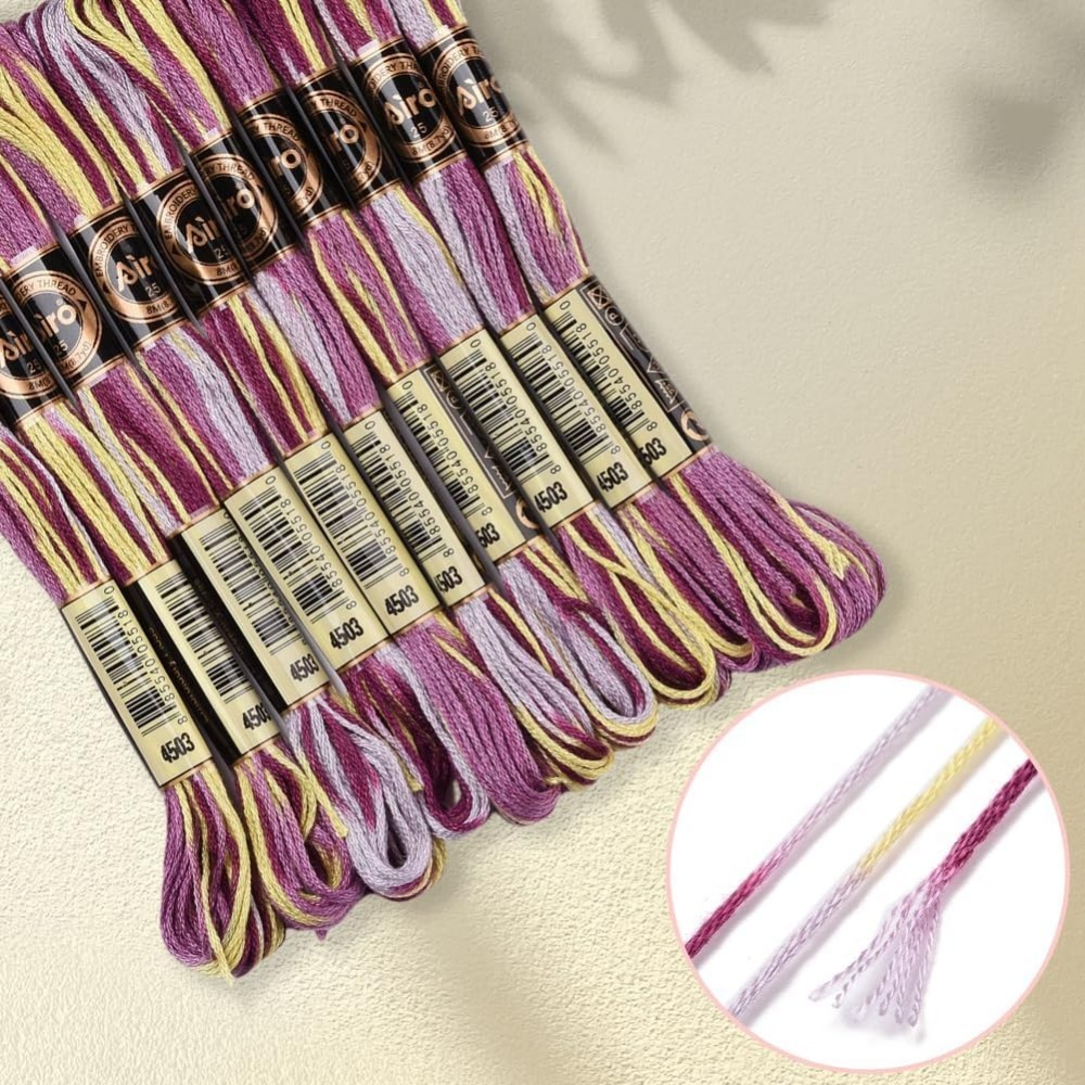 6 Strands Purple Variegated Em - Embroidery Bracelet 评论和价格