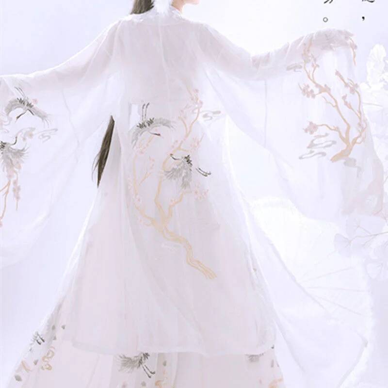 Chinese Ancient Hanfu Women's  - Embroidery Shirt 评论和价格